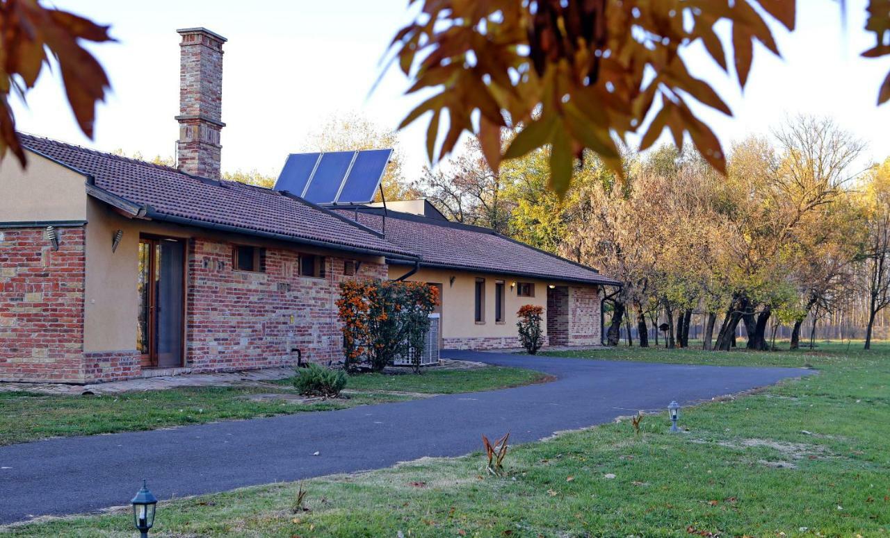 Woodland Villa  Gyula Extérieur photo